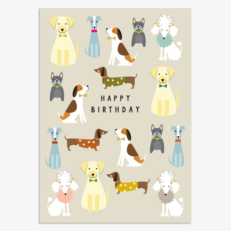 JUN02 - BIRTHDAY DOGS