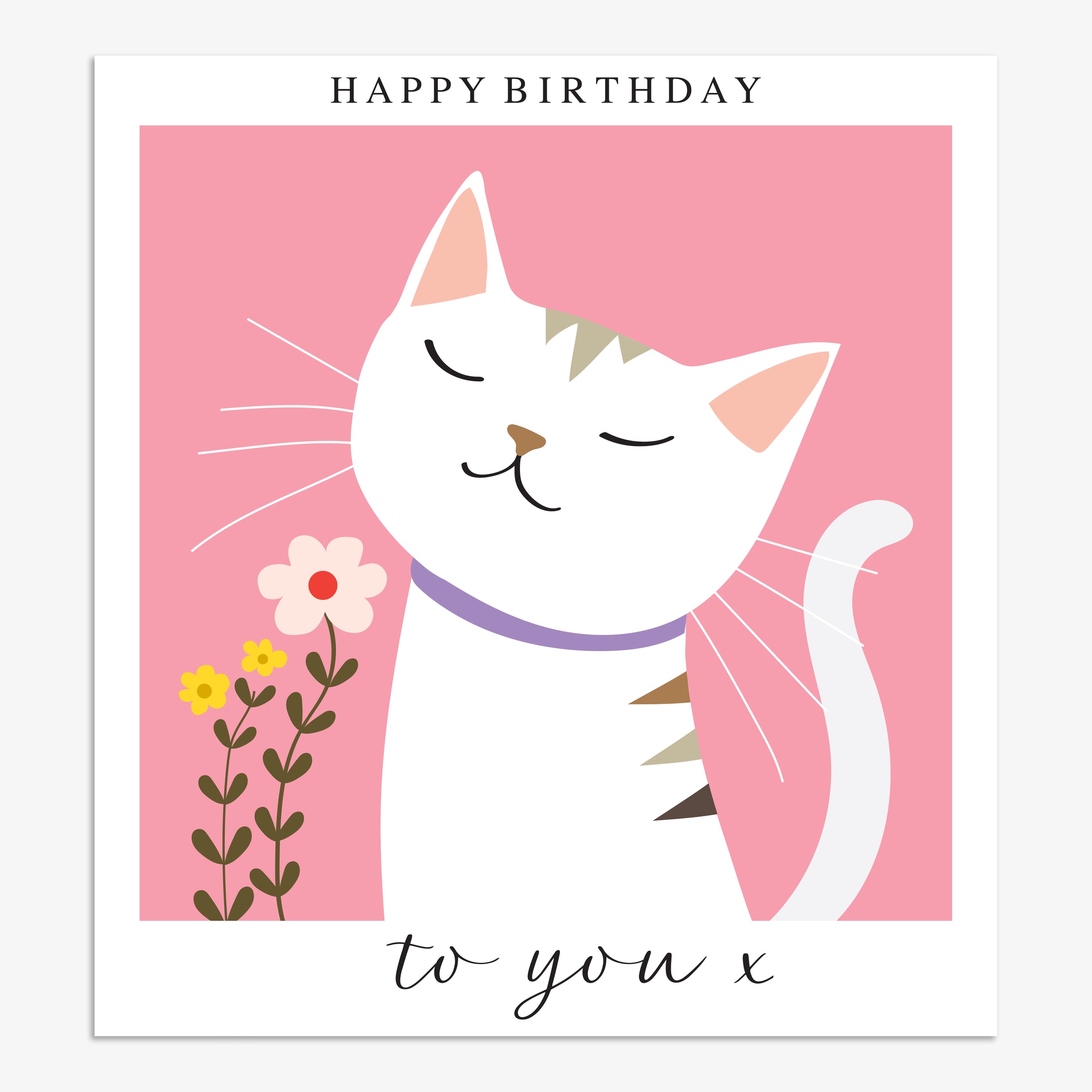 SML31 - BIRTHDAY CAT