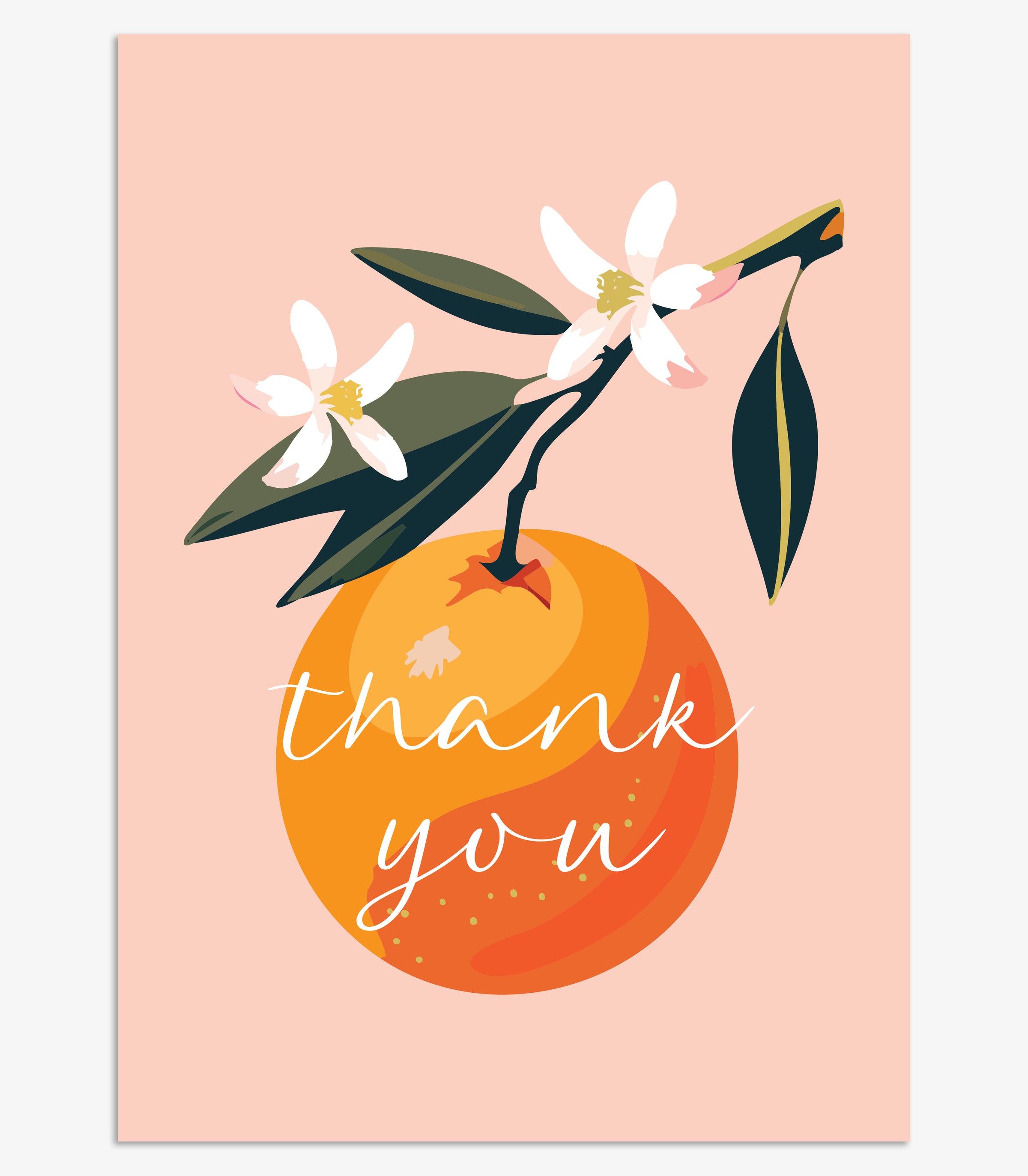 SST266 - THANK YOU ORANGE