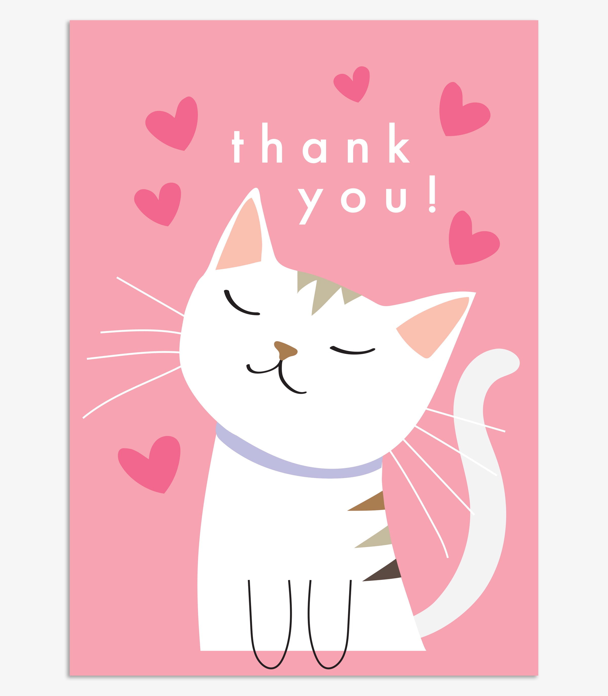 SST271 - THANK YOU KITTEN