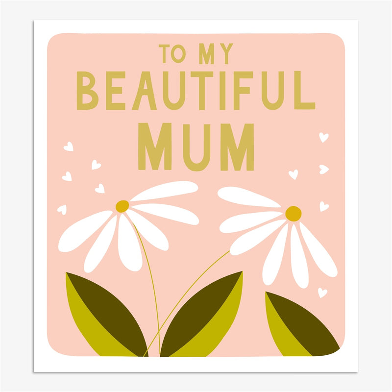 MFZ08 - Beautiful Mum Daisies